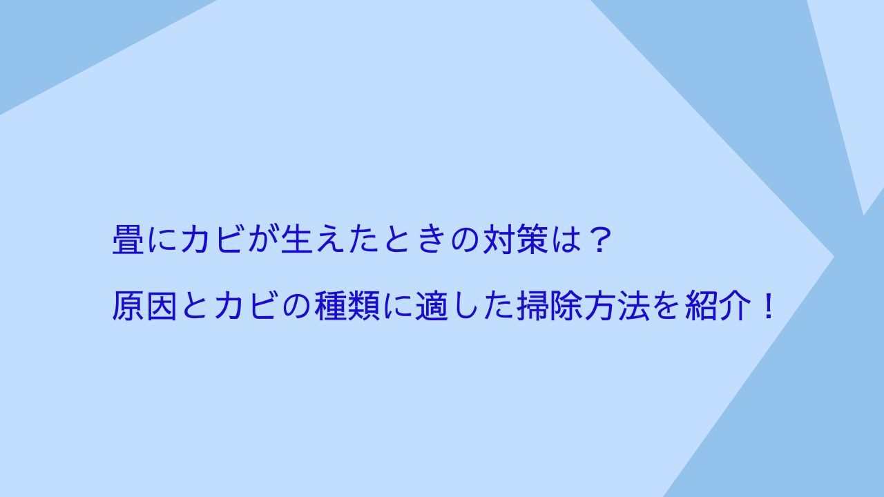 記事のタイトル